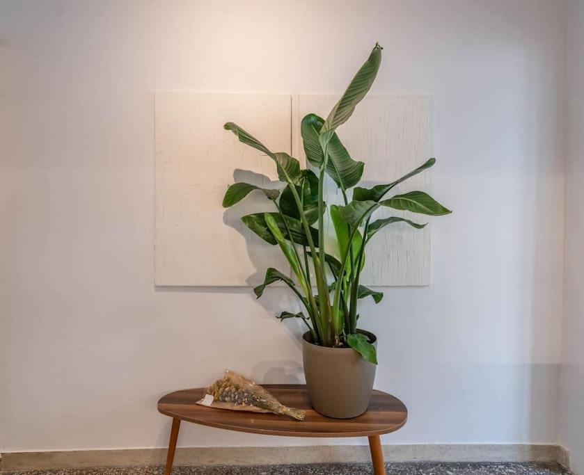 Botanical Daire Atina Dış mekan fotoğraf