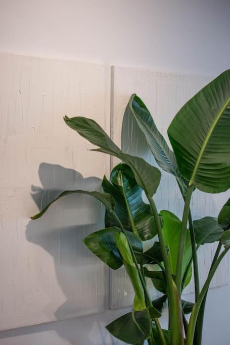 Botanical Daire Atina Dış mekan fotoğraf